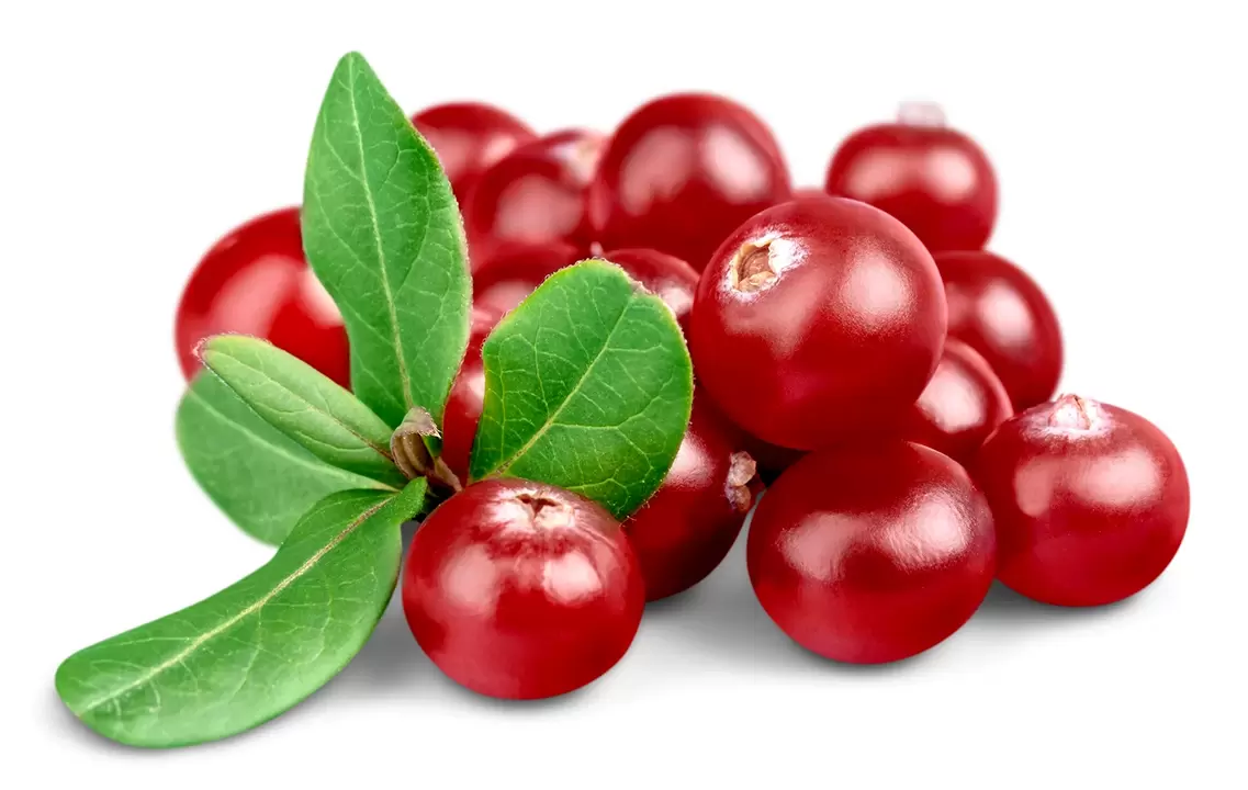 Cranberries in capsules zxcvbnmqwert